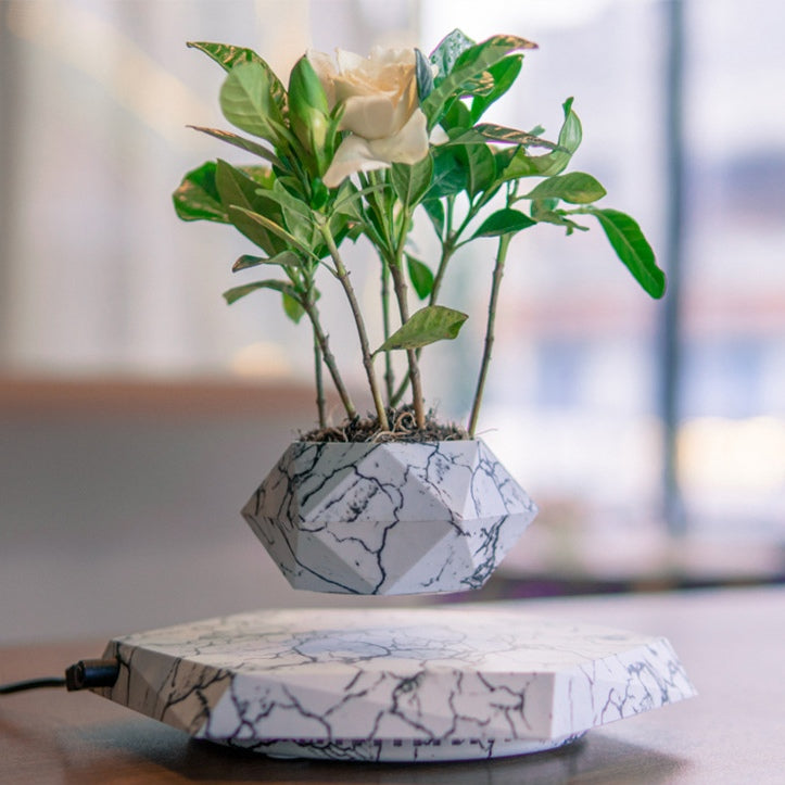 AeroPot Floating Planter