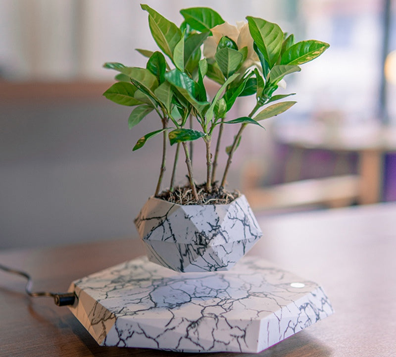 AeroPot Floating Planter